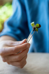 Midsection of woman holding flower