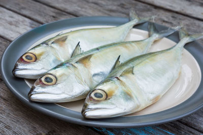 High angle view of fish on table