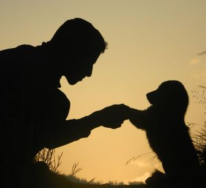 Silhouette of man with puppy against sky during sunset