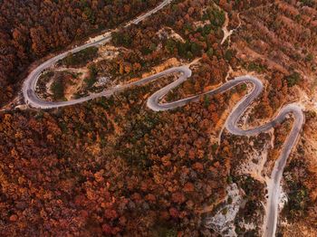 Aerial view of winding road amidst trees in forest during autumn