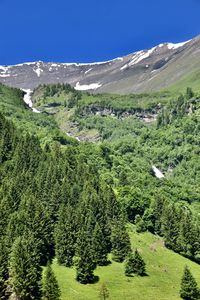 Scenic view of landscape against clear sky