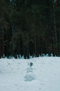 Forest snowman