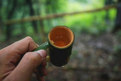 Person holding tea cup