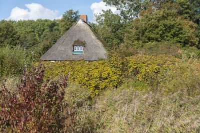 Altes reetdachhaus in herbstlicher landschaft, schleswig-holstein, deutschland