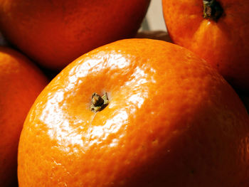 Close-up of apples