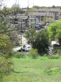 View of trees and buildings
