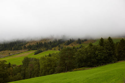 Scenic view of trees on field against sky