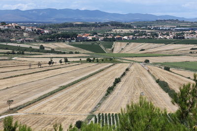Scenic view of rural landscape