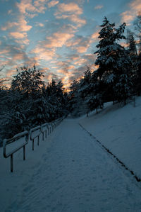 Snow covered trees against sky during sunset