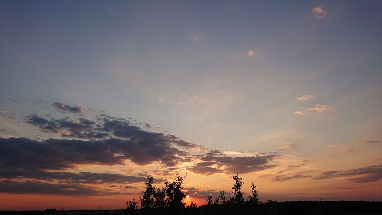 sky, sunset, cloud - sky, beauty in nature, scenics - nature, silhouette, tranquility, tranquil scene, orange color, nature, tree, no people, plant, outdoors, idyllic, non-urban scene, low angle view, dramatic sky, environment