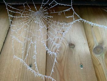 Full frame shot of wet spider web on wooden floor