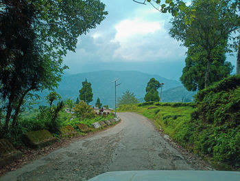 Road amidst trees against sky