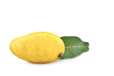 Close-up of lemon slice against white background