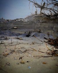 Rock formations on landscape