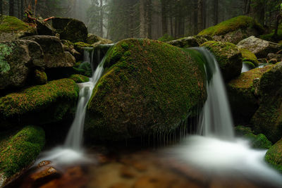 Waterfall in a misty forest ii