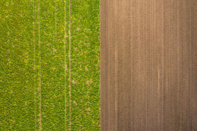 Aerial view of tractor tracks in a green field as well as in a brown field