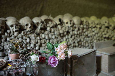 Close-up of flowers with human skulls in background