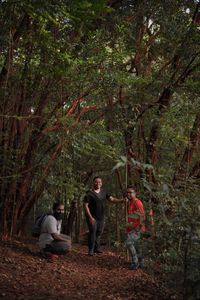 People sitting in a forest