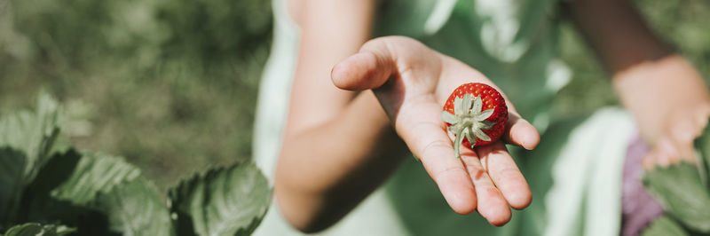 Close-up of hand holding fruit