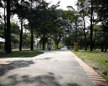 Empty road along trees in park