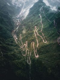 High angle view of trees on landscape