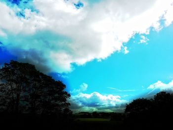 Low angle view of silhouette trees against sky