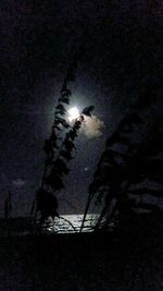 Low angle view of silhouette trees against sky at night