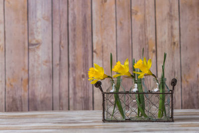 Close-up of yellow flowers on table