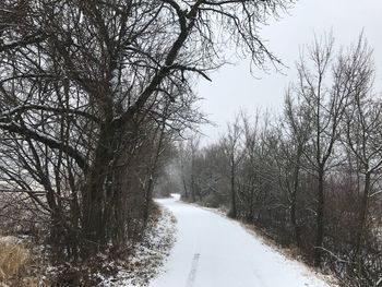 Snow covered trees in forest against clear sky