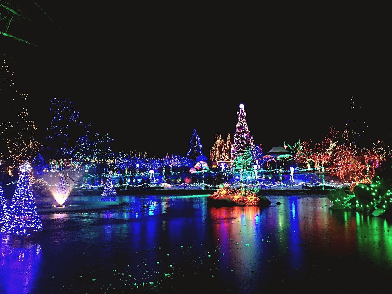 ILLUMINATED CHRISTMAS TREE IN CITY AT NIGHT