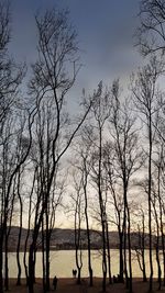 Silhouette trees on beach against sky