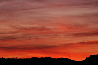 Silhouette of trees at sunset