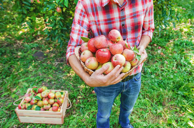 Man gardener