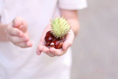 Close-up of hand holding plant