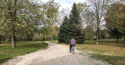 Rear view of man riding bicycle on road at park