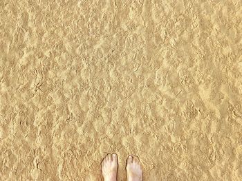 Low section of person standing on sand