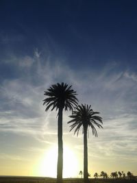 Silhouette palm trees against sky during sunset