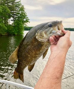 Human hand holding fish