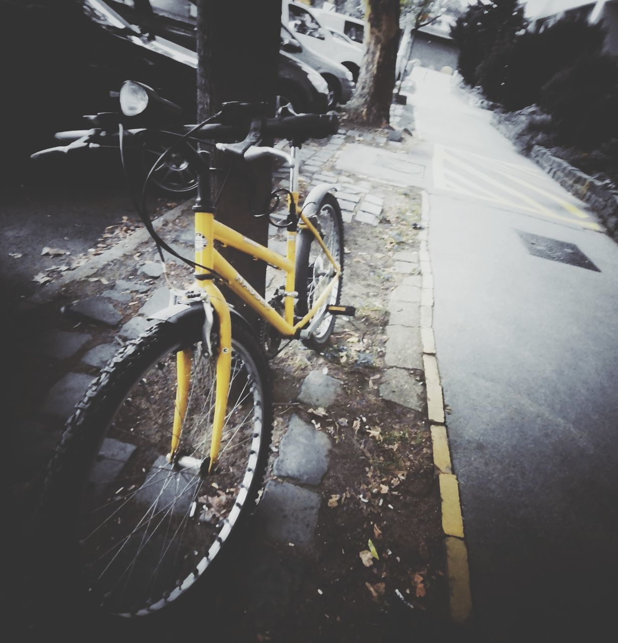 transportation, bicycle, mode of transportation, land vehicle, city, no people, stationary, street, day, outdoors, road, nature, yellow, parking, water, architecture, footpath, sidewalk, wheel, rain