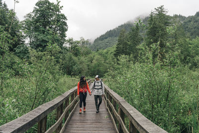 Rear view of people walking on footbridge in forest