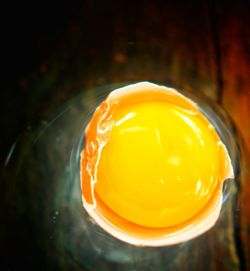 High angle view of yellow egg in container