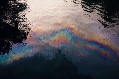 Reflection of trees in water