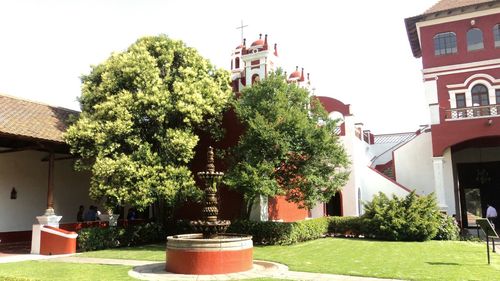 Trees growing in front of building