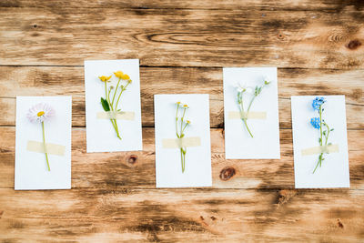Directly above shot of paper painting on table