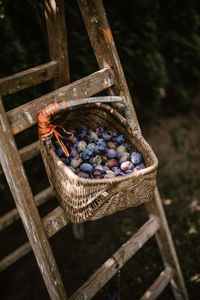 High angle view of fruits in basket