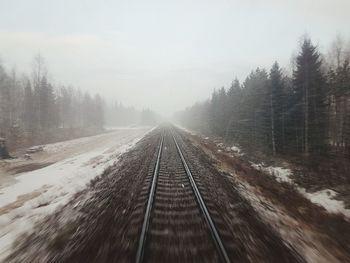 View of railroad tracks along trees