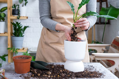 Midsection of woman holding potted plant