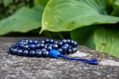 Blue buddhist prayer beads on stone with green leaves in the background, close up.