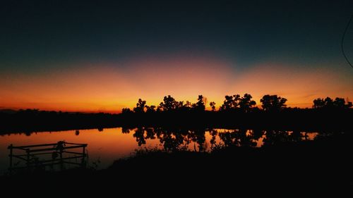 Silhouette of trees at sunset