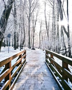 Snow covered railing against bare trees during winter